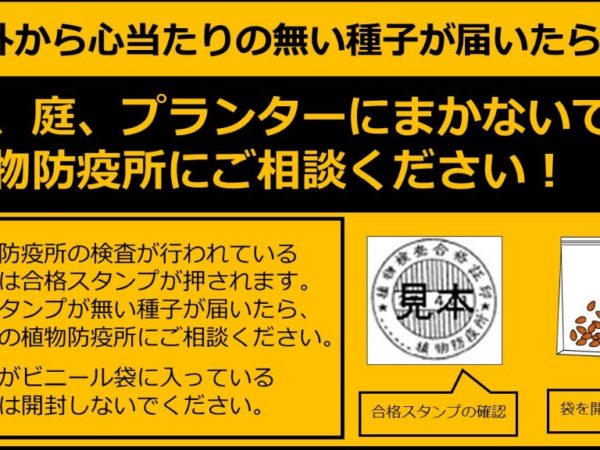 海外から心当たりのない種子が届いたら