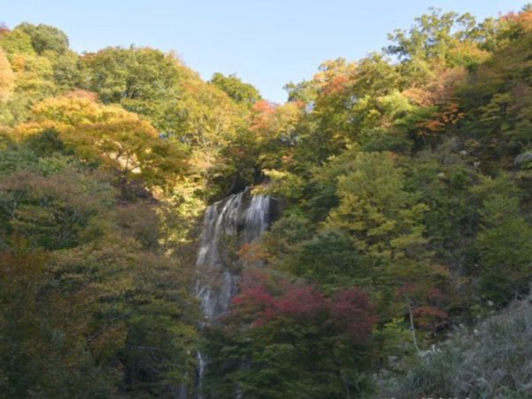 【10月27日】2020年紅葉情報について