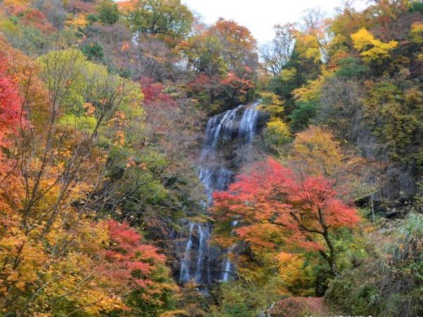 【11月7日】2020年紅葉情報について