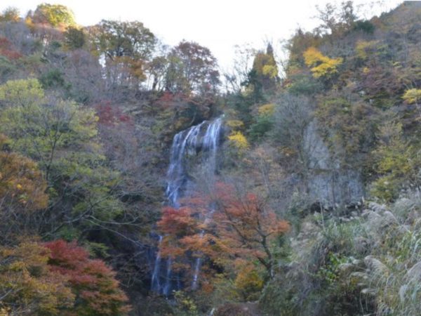 【11月11日】2020年紅葉情報について