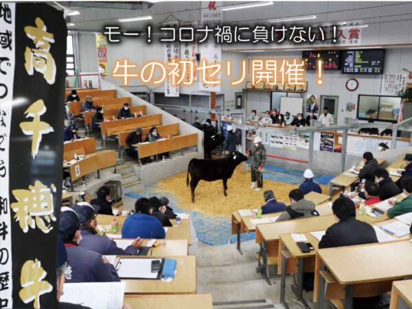 高千穂郷通信２月号（No.２１７）